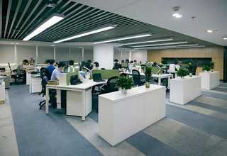 武汉汉南区绿化养护防病虫害