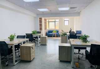 安徽病毒采样拭子成分